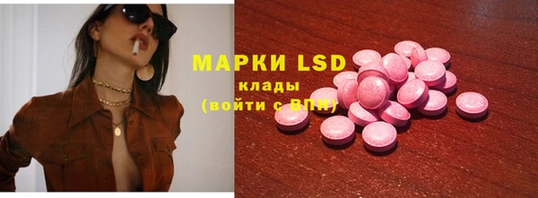 дживик Баксан