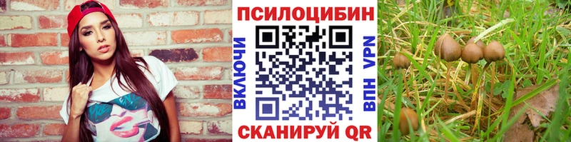 где найти наркотики  MEGA ссылка  Галлюциногенные грибы Magic Shrooms  Новый Уренгой 